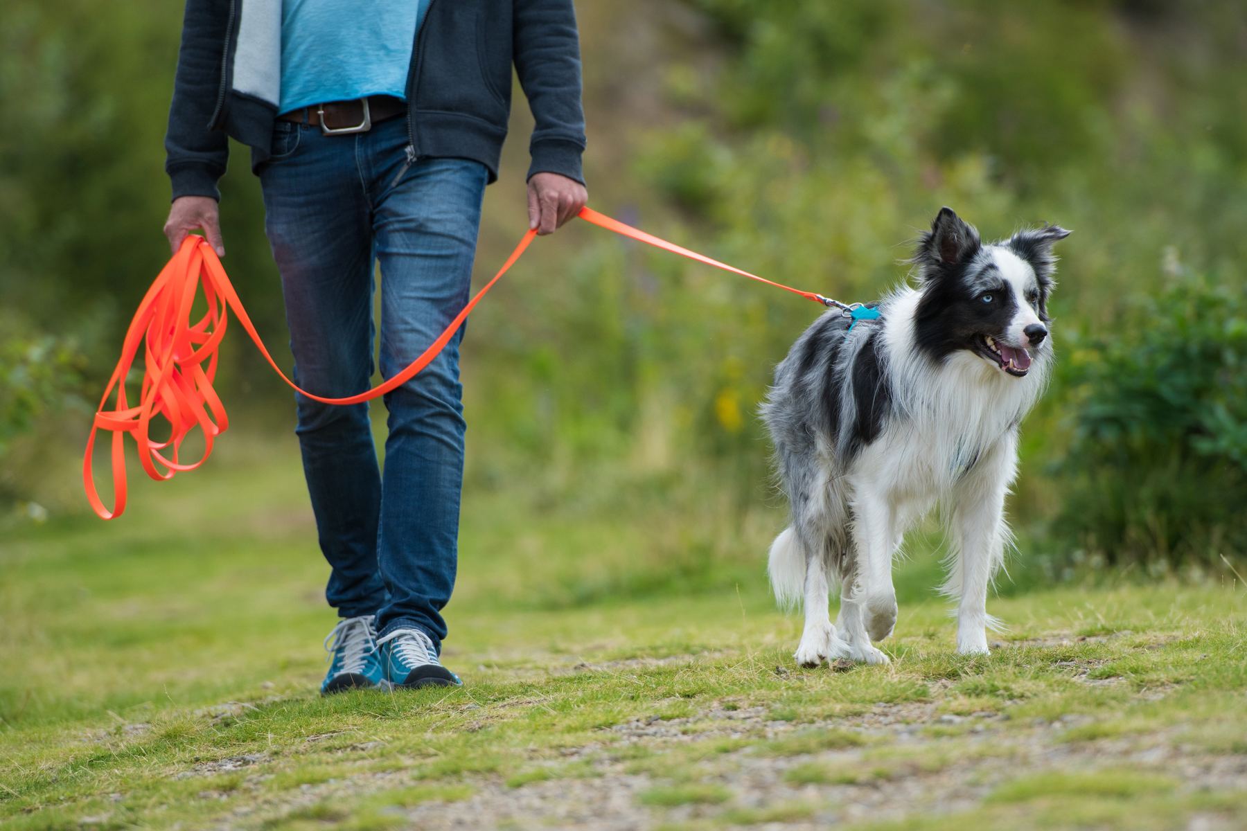 Exercice éducateur et chien